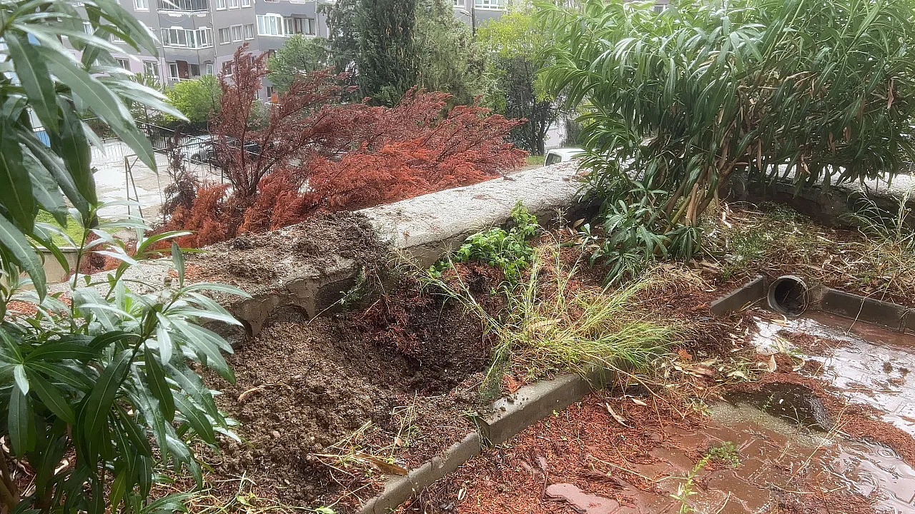 Bursa'da sağanak ağacı devirdi, otomobilin üzerine düştü
