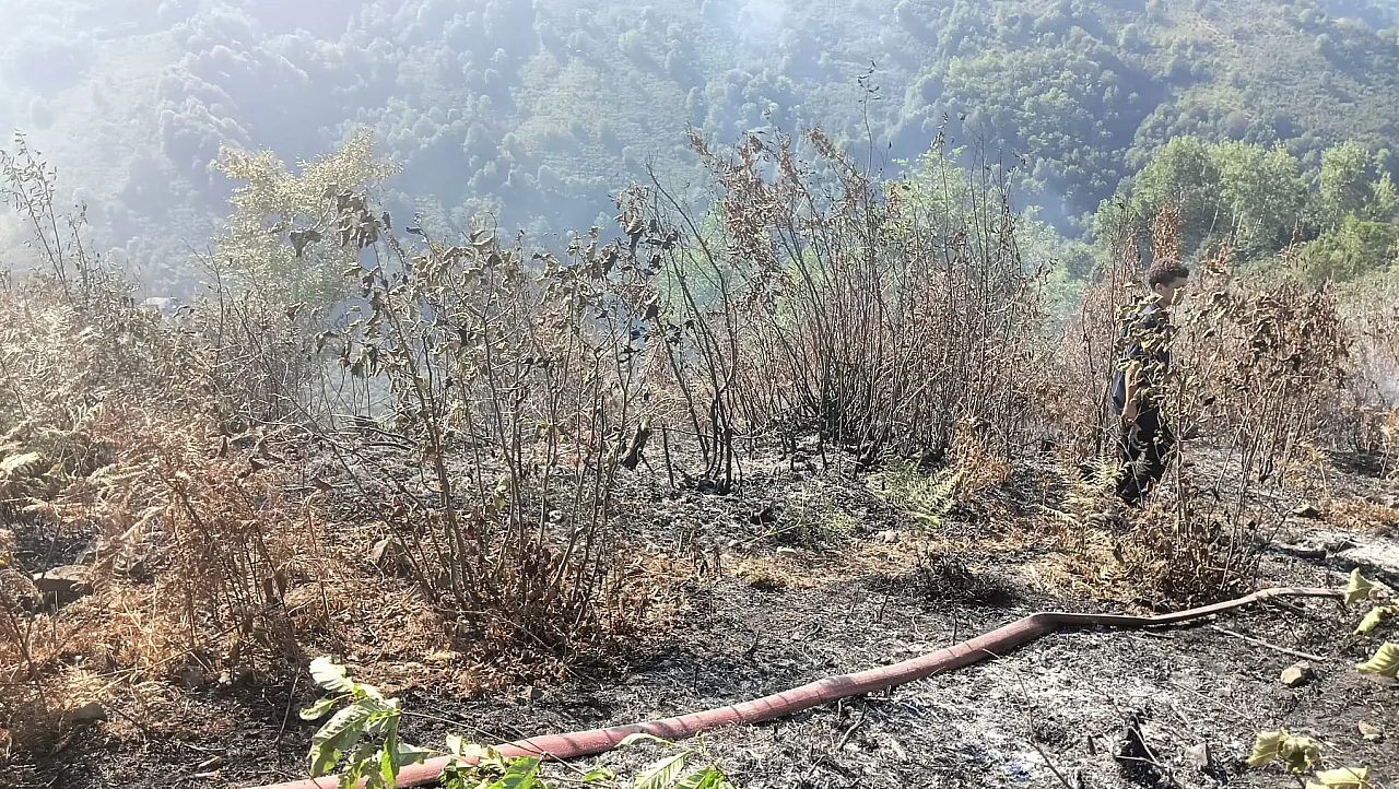 Samsun'da çıkan orman yangını büyümeden söndürüldü