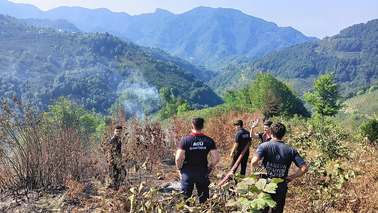 Samsun'da çıkan orman yangını büyümeden söndürüldü