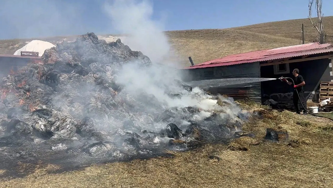 Kars'ta bin balya ot yangında kül oldu