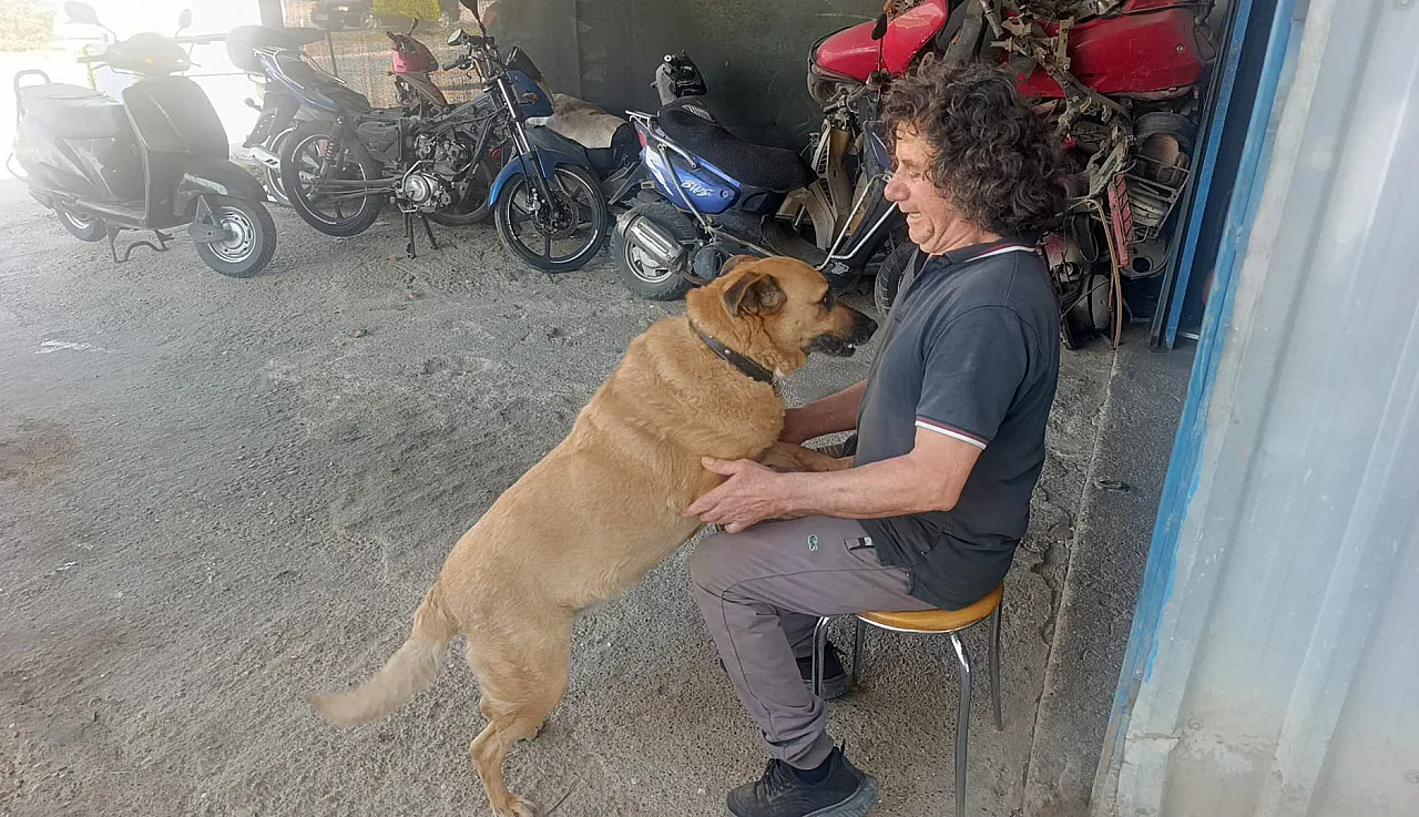 13 yıldır kör köpeğine babalık yapıyor