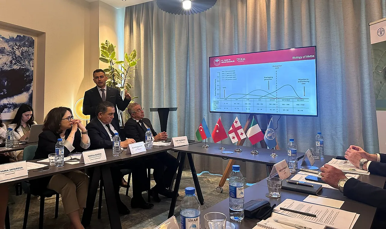 Karadeniz Tarımsal Araştırma Enstitüsünden Kahverengi Kokarca ile Mücadelede Uluslararası adımlar
