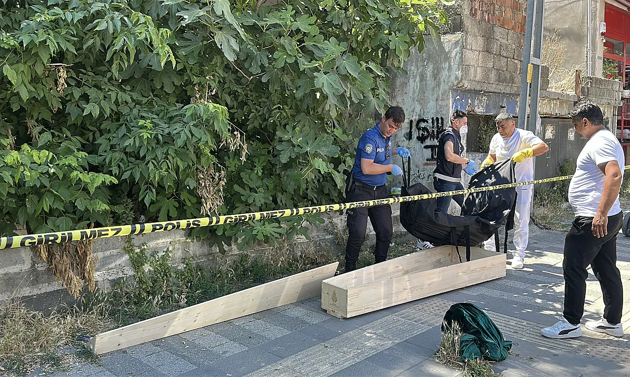 Kedisinin peşine düştü, ceset buldu