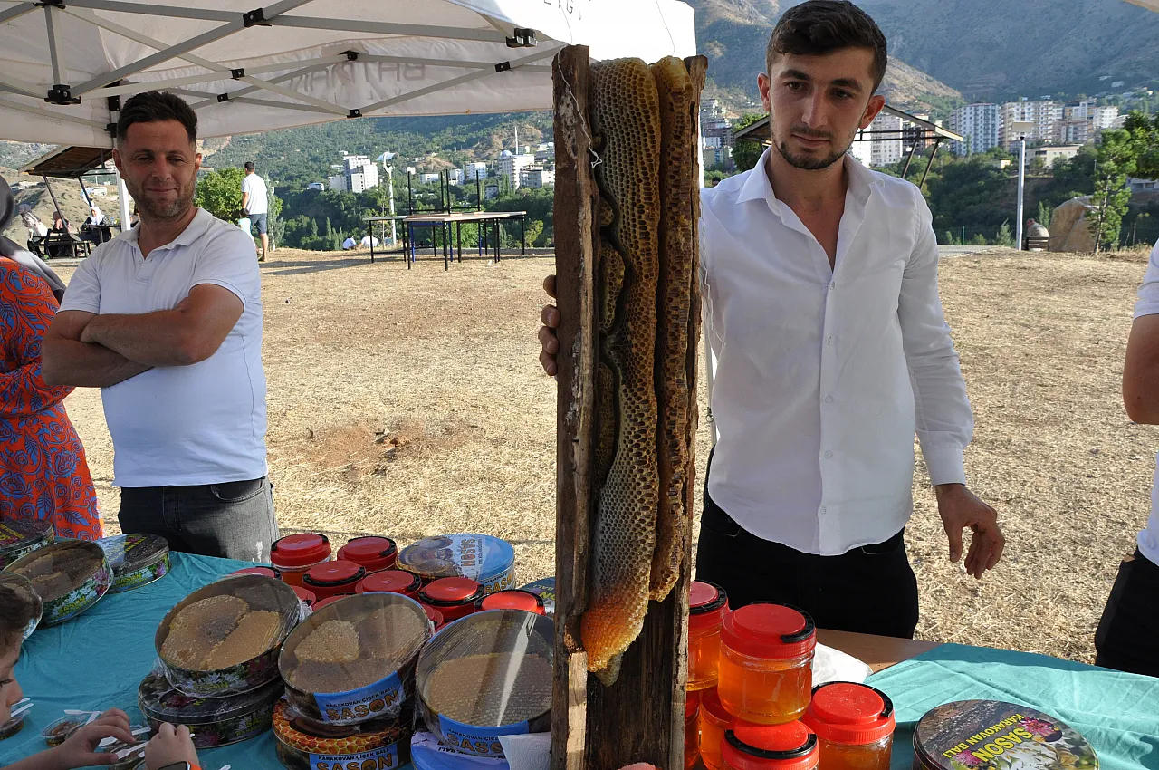 Ağaç kovuğundan çıkıyor, kilosu 15 bin liraya satılıyor