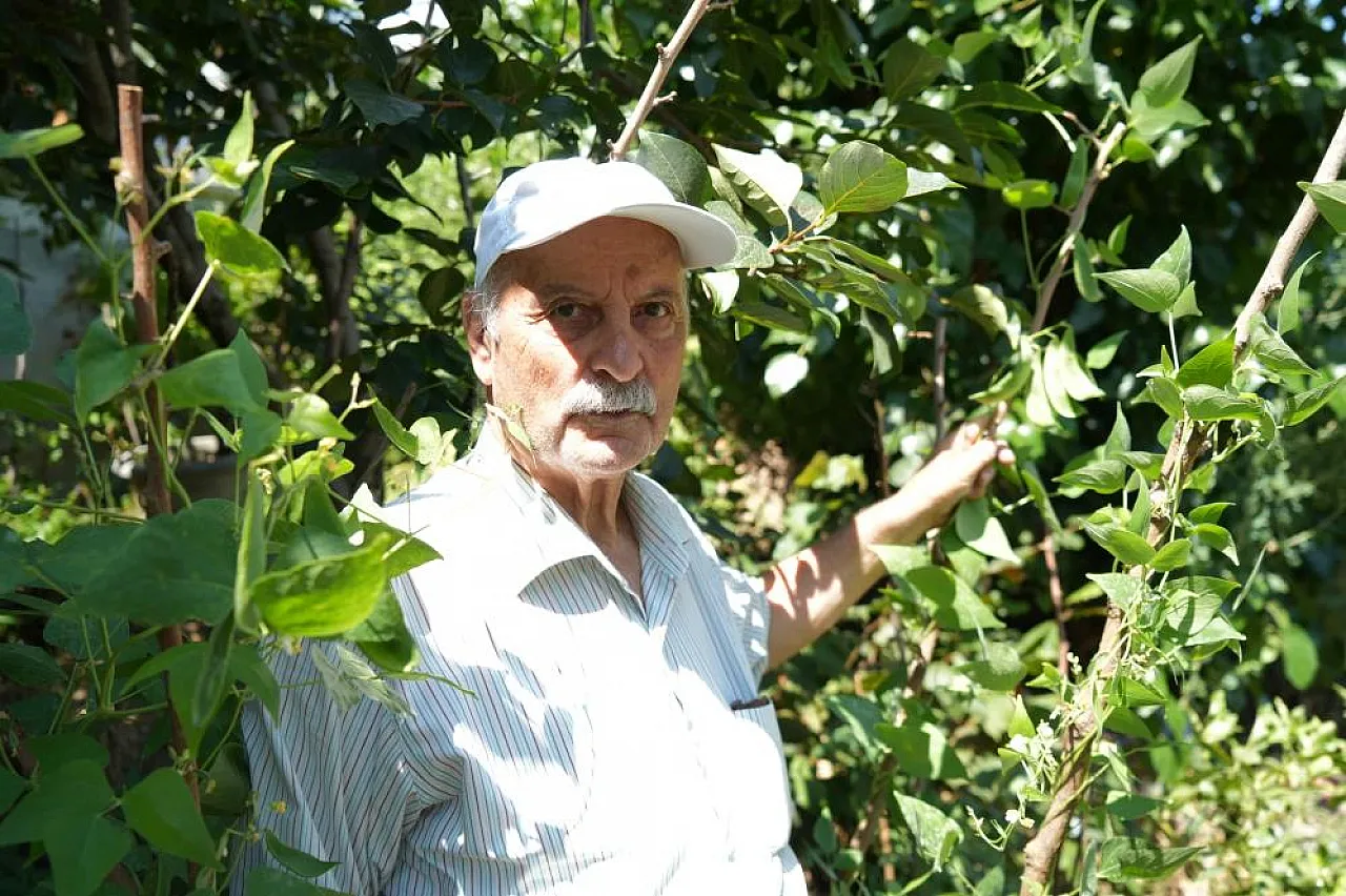 'Olmaz' Denilen Ürünleri Samsun Toprağında Yetiştirdi