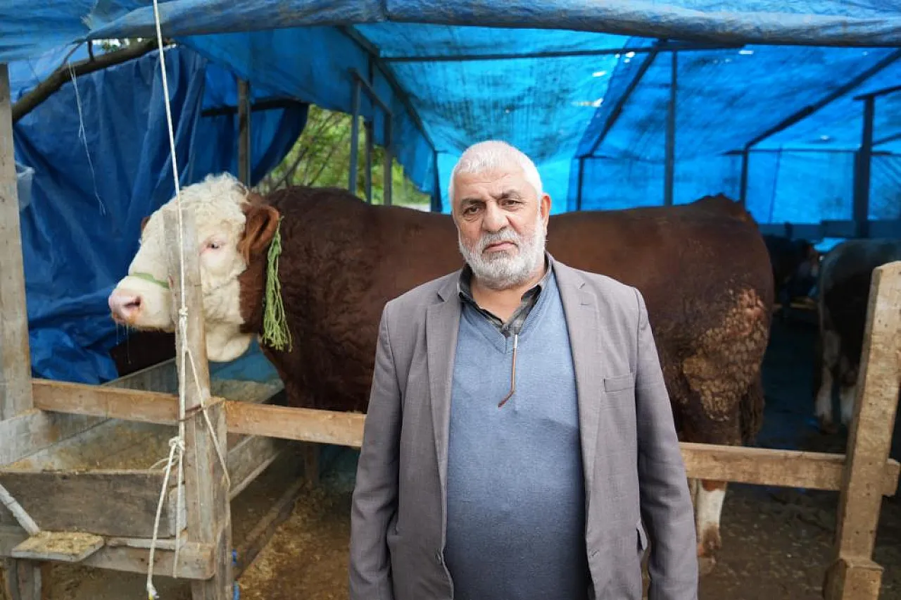Bu boğanın değeri adeta bir otomobil fiyatı!