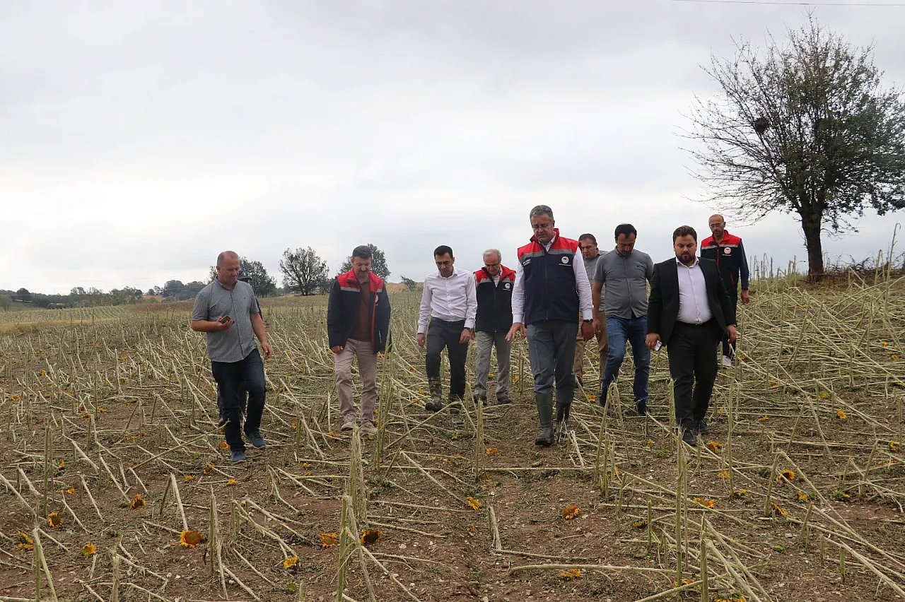 Samsun'da dolu 40 bin dekar tarım arazisini vurdu