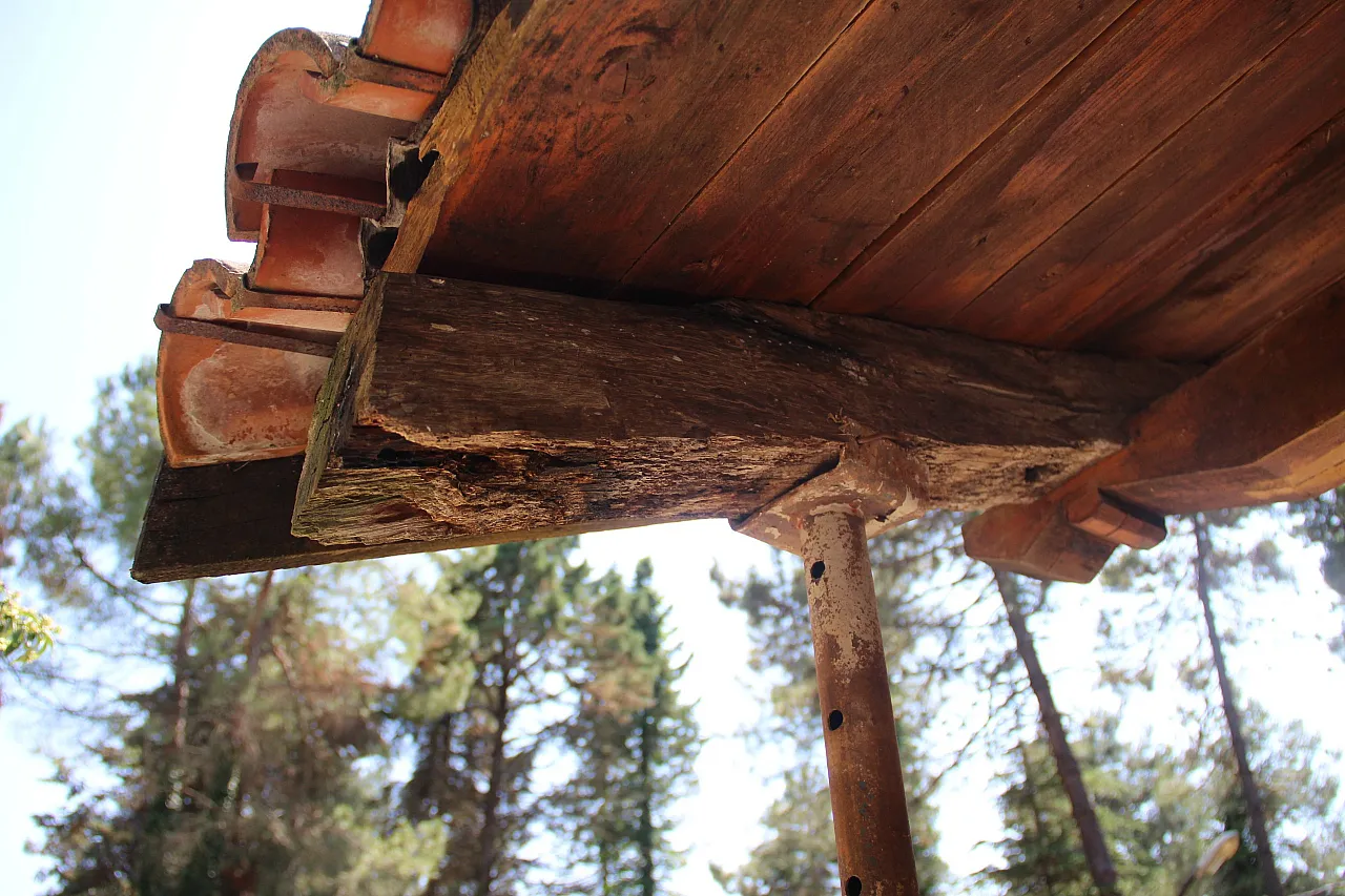 800 Yıllık Tarih Çöküyor ! Göğceli Camii kaderine terk edildi !