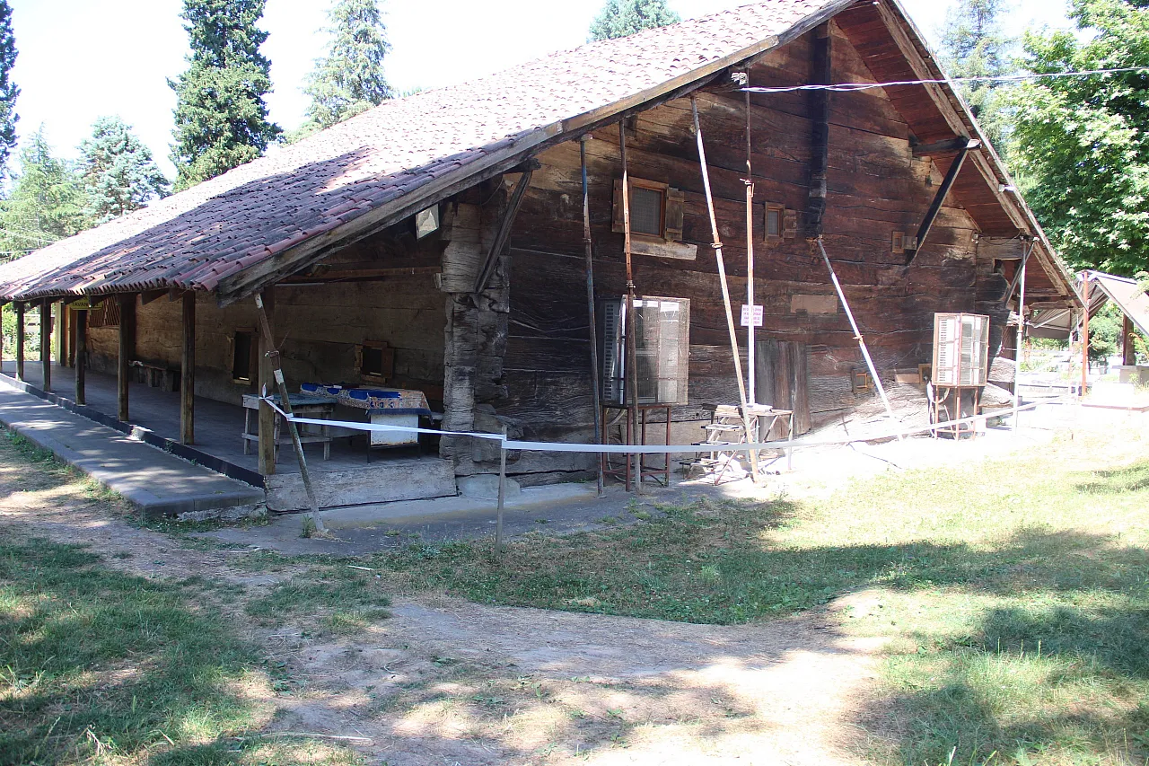 800 Yıllık Tarih Çöküyor ! Göğceli Camii kaderine terk edildi !