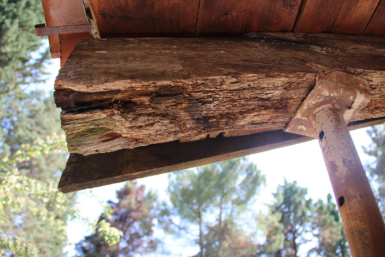 800 Yıllık Tarih Çöküyor ! Göğceli Camii kaderine terk edildi !