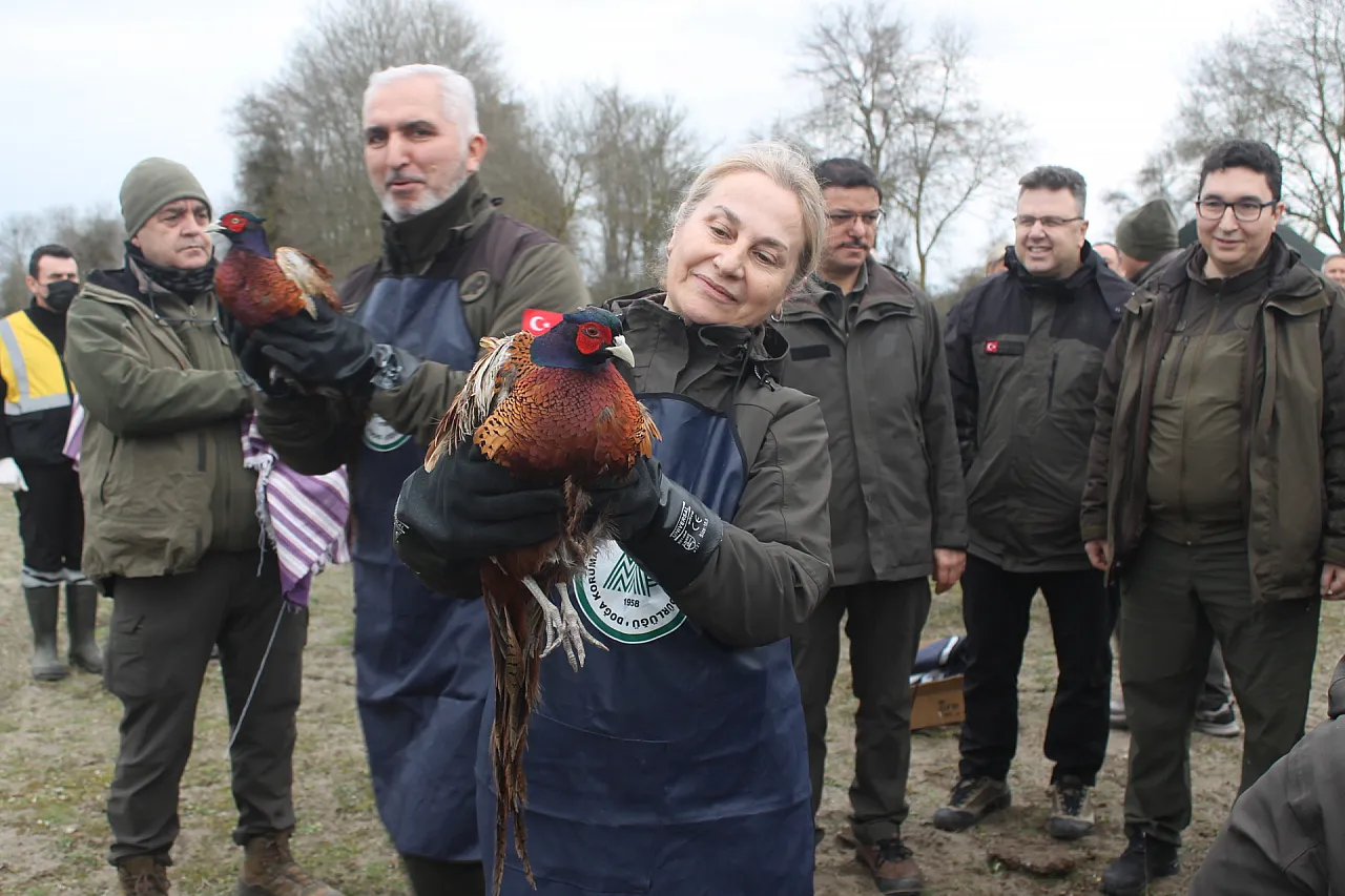 Samsun'da Doğaya Can Geldi! Yaban Hayvanları Salındı