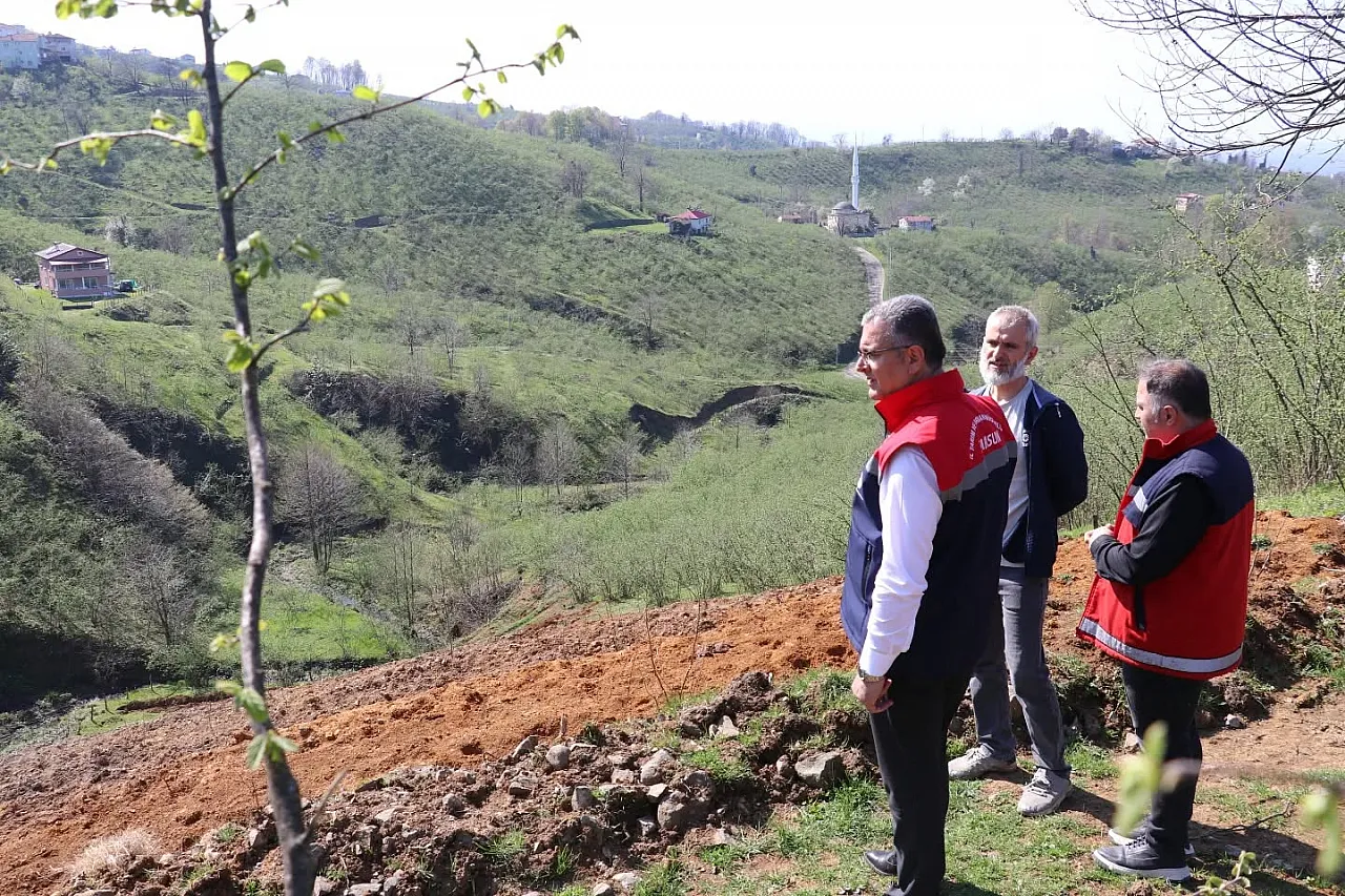 Fındıkta teraslama devrimi: Terme'deki örnek bahçeler verimi katlıyor