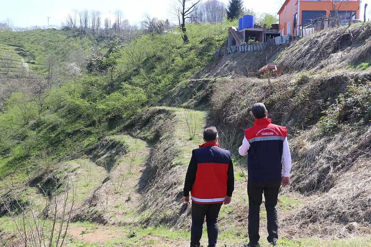 Fındıkta teraslama devrimi: Terme'deki örnek bahçeler verimi katlıyor