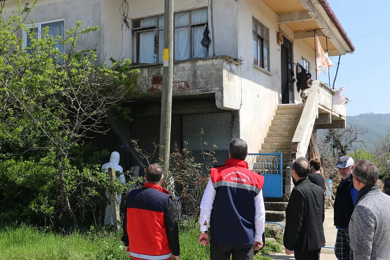 Samsun'da kahverengi kokarca ile mücadelede taviz yok!