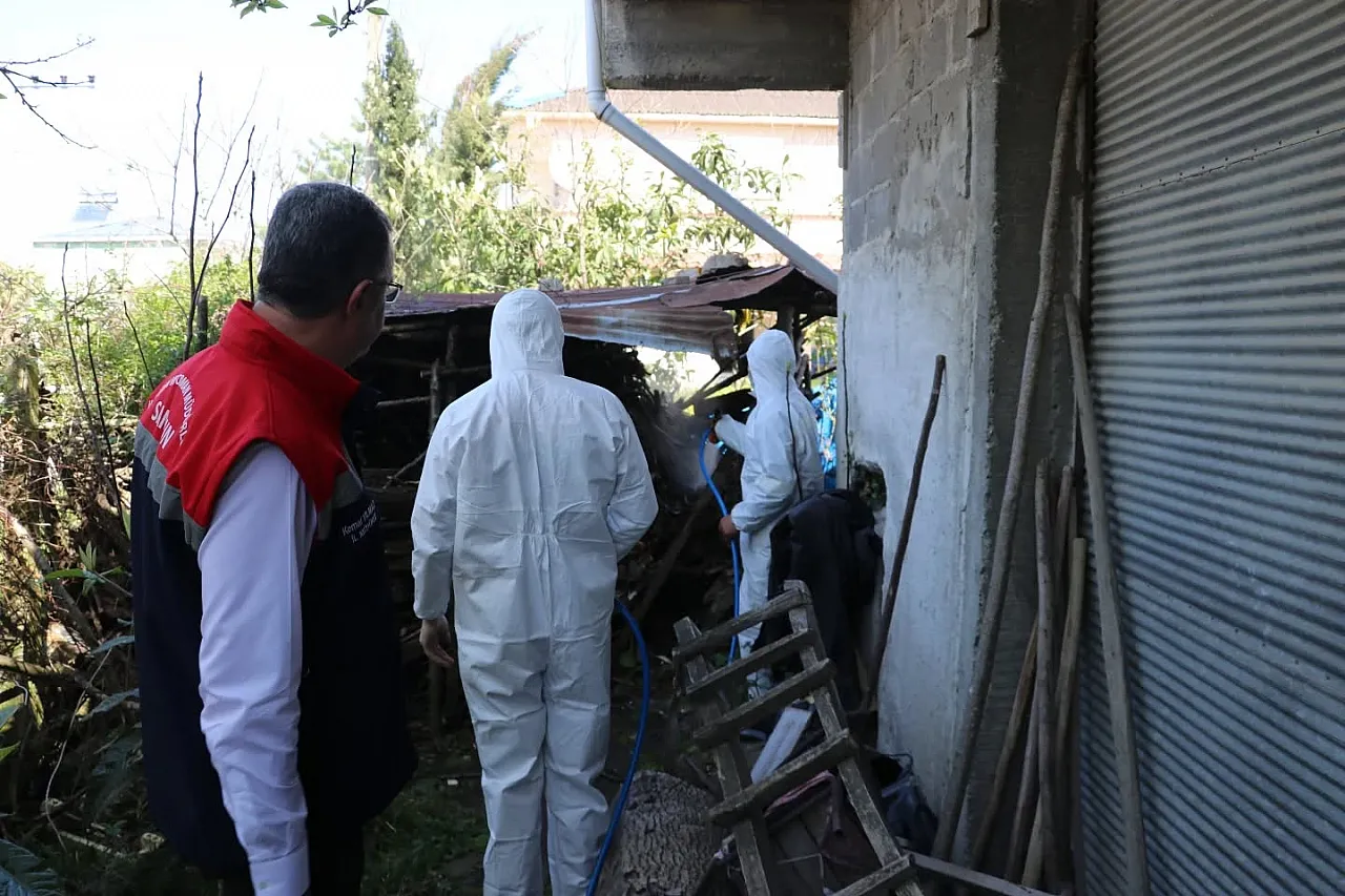 Samsun'da kahverengi kokarca ile mücadelede taviz yok!