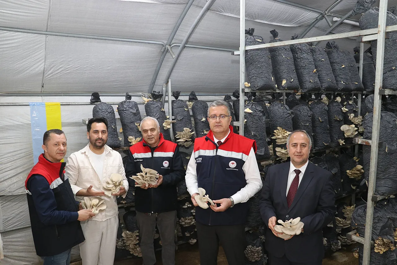 Yıllık 70 ton kapasite: Çarşamba mantar üretiminde 'Ben de varım' diyor
