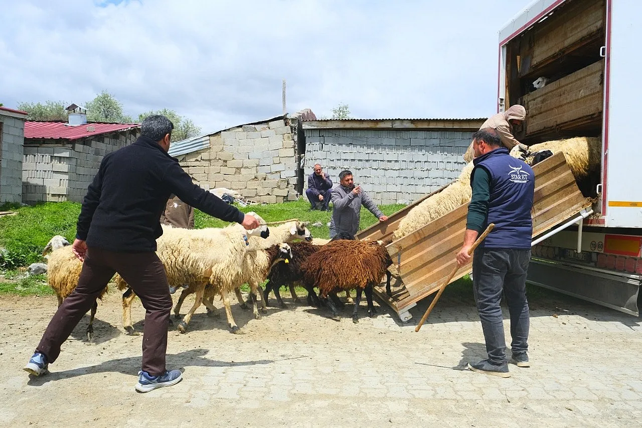 Yayla yolculuğunda renkli anlar