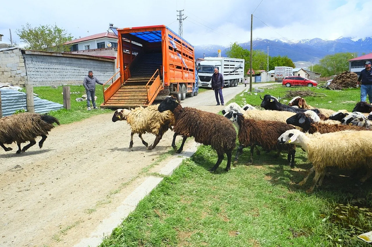 Yayla yolculuğunda renkli anlar
