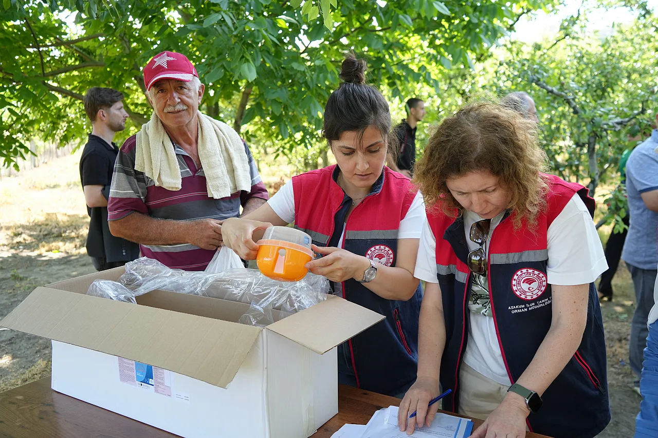 Samsun'da Akdeniz Meyve Sineğine Karşı Biyoteknik Hamle