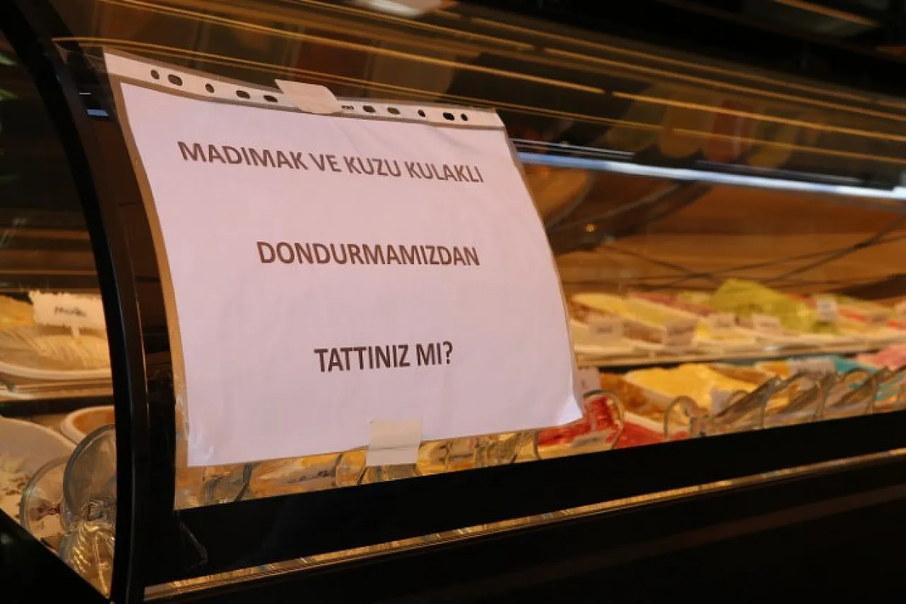 Madımaklı Dondurma Merak Uyandırıyor