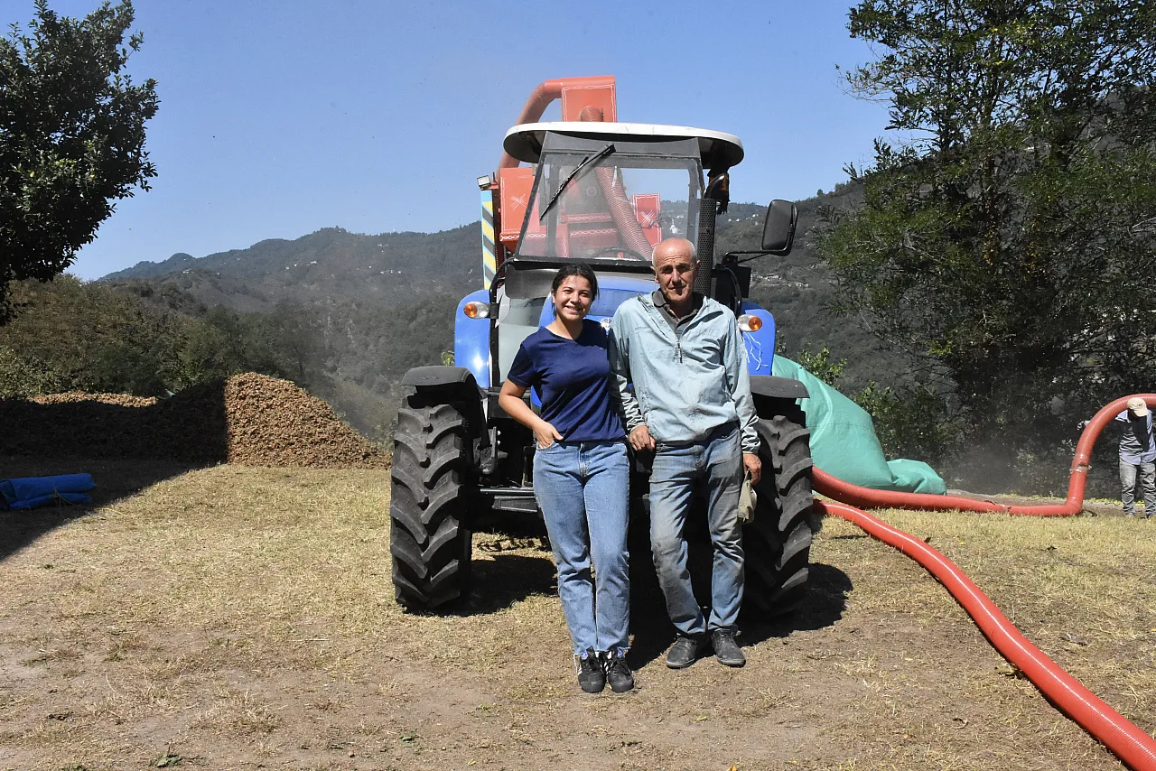 Fındık hasadında aile dayanışması