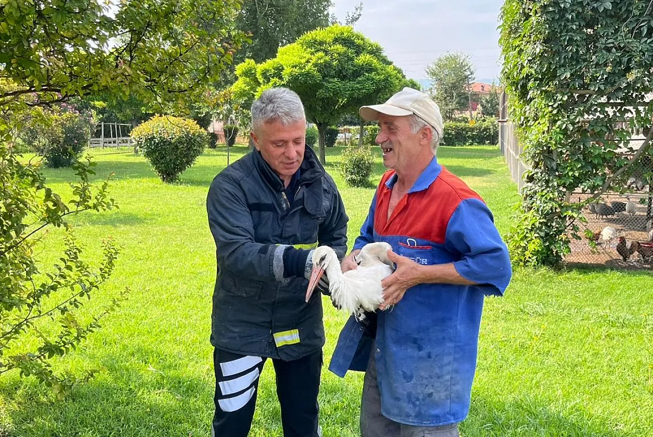 İtfaiye görevlisi leyleği havada yakaladı