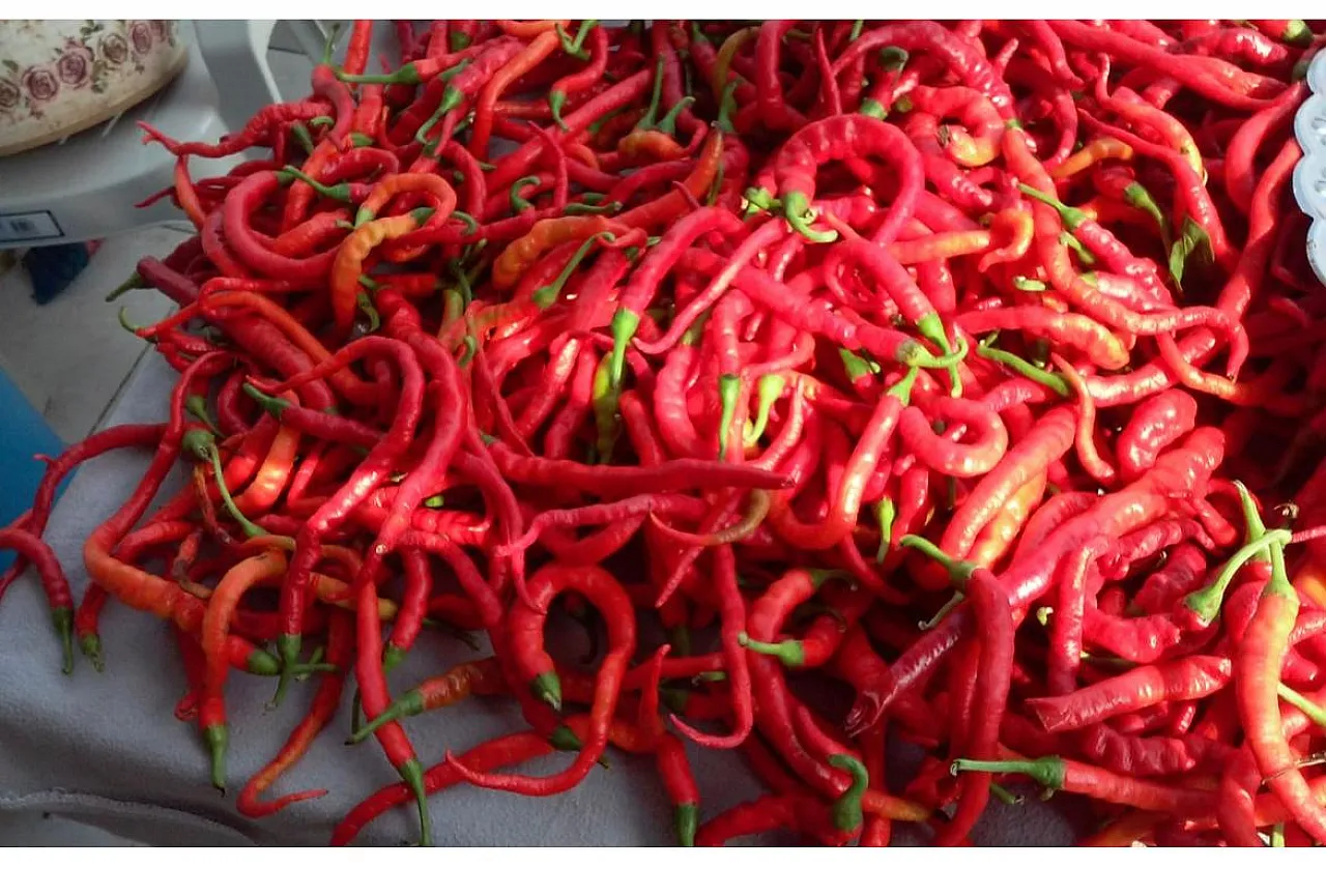 Çarşamba'nın tapulu kültürü: biber tuzu