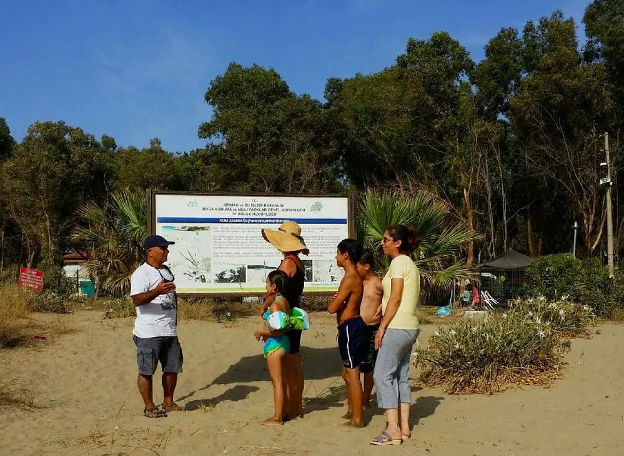 'Kum zambakları yok olma tehlikesiyle karşı karşıya'