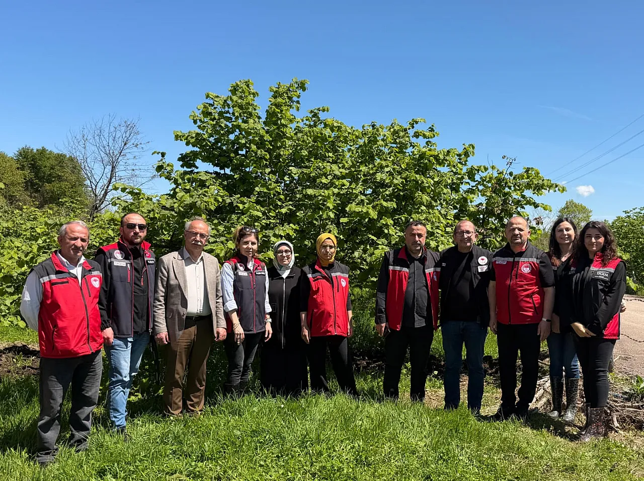 Samsun, Ordu ve Giresun'da fındıkta görülen kurumalar araştırılıyor