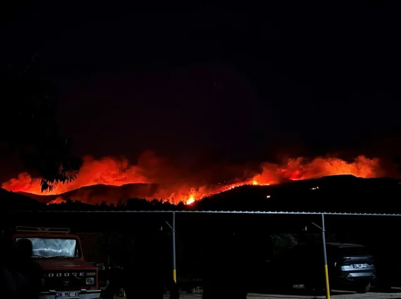 Muğla Milas'ta orman yangını: 1120 kişi tahliye edildi