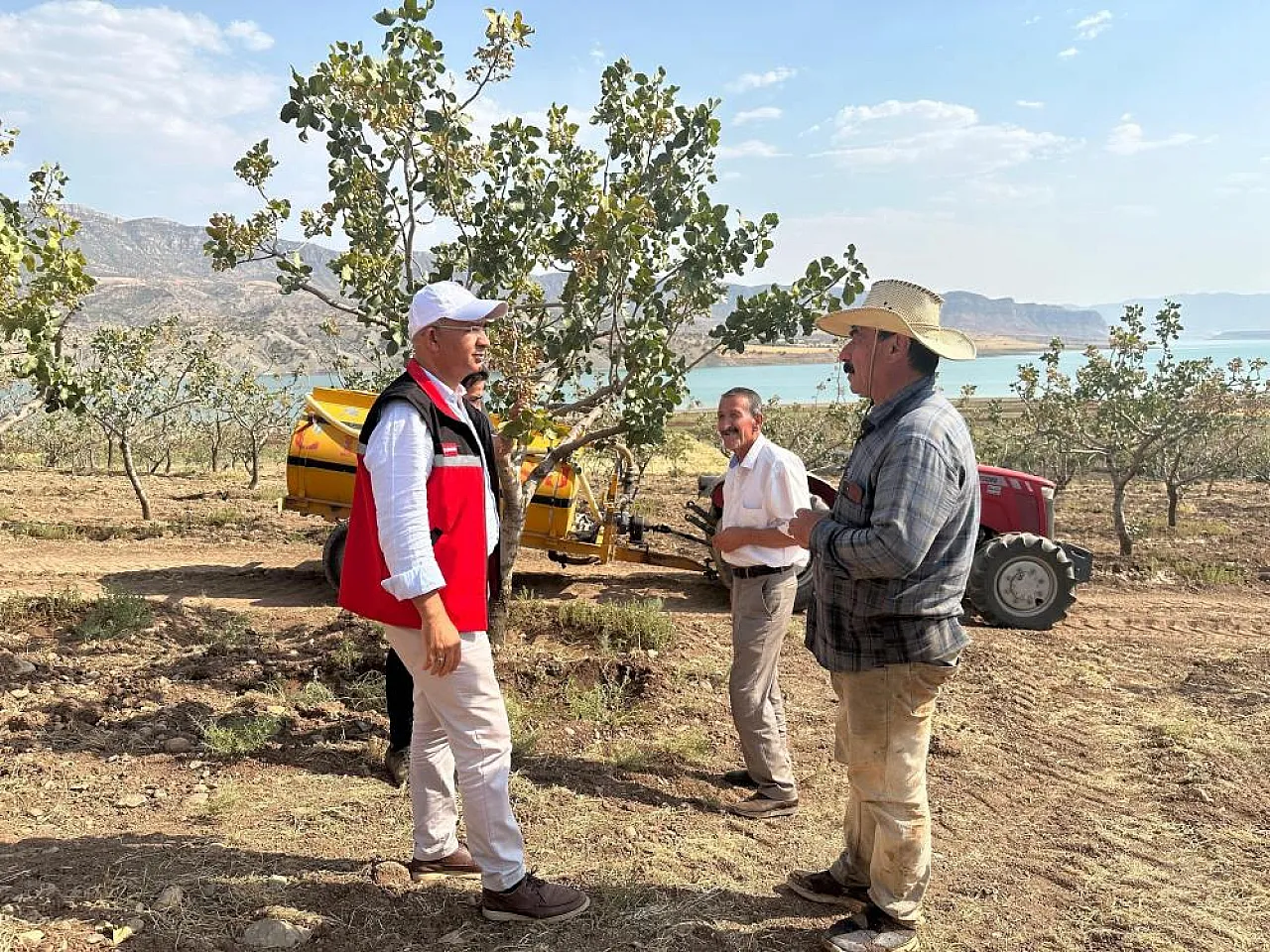 Kuraklık ve Sıcaklık Siirt Fıstığını Tehdit Ediyor