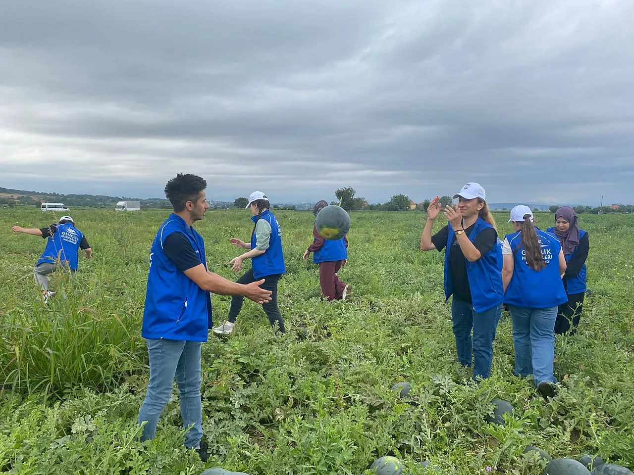 Samsun'da Gençlerden Gönüllü Hasat