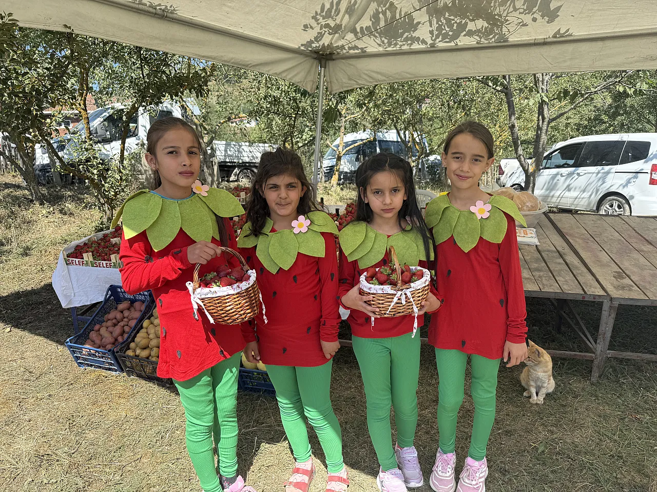 Samsun'da 3. Dürtmen Yaylası Çilek Festivali