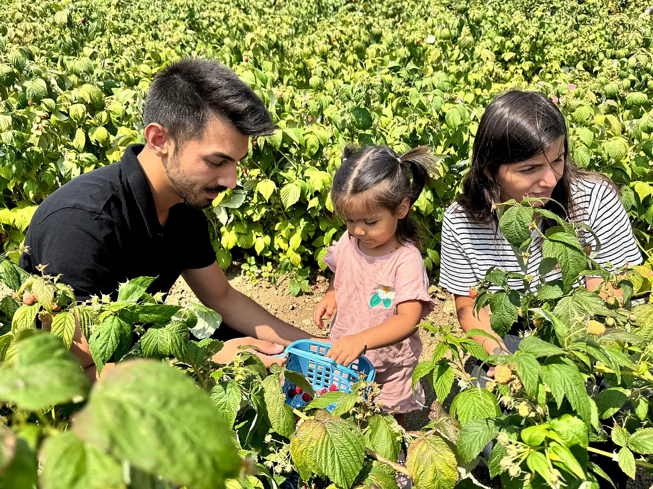 Genç girişimci hem üretiyor hem istihdam sağlıyor