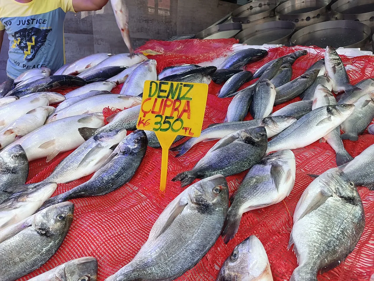 Samsun'da Balık Tavuğu Sollamak Üzere