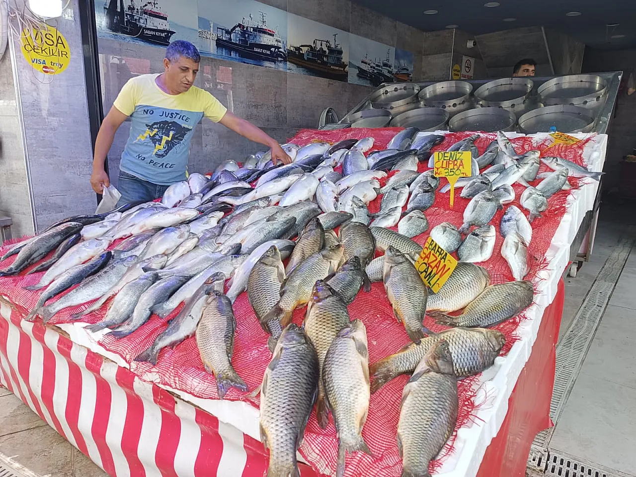 Samsun'da Balık Tavuğu Sollamak Üzere