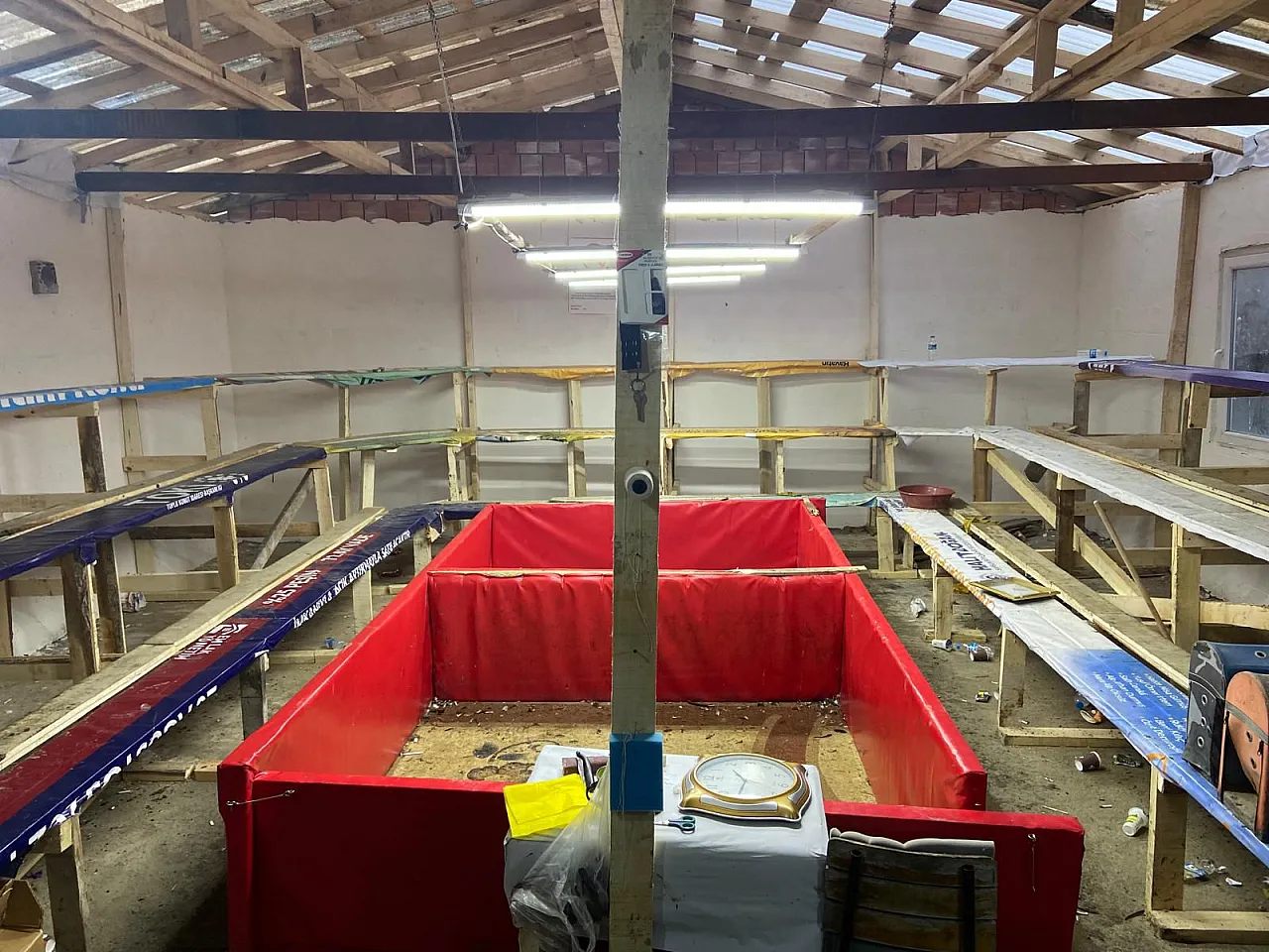 Samsun'da horoz dövüşüne ağır ceza