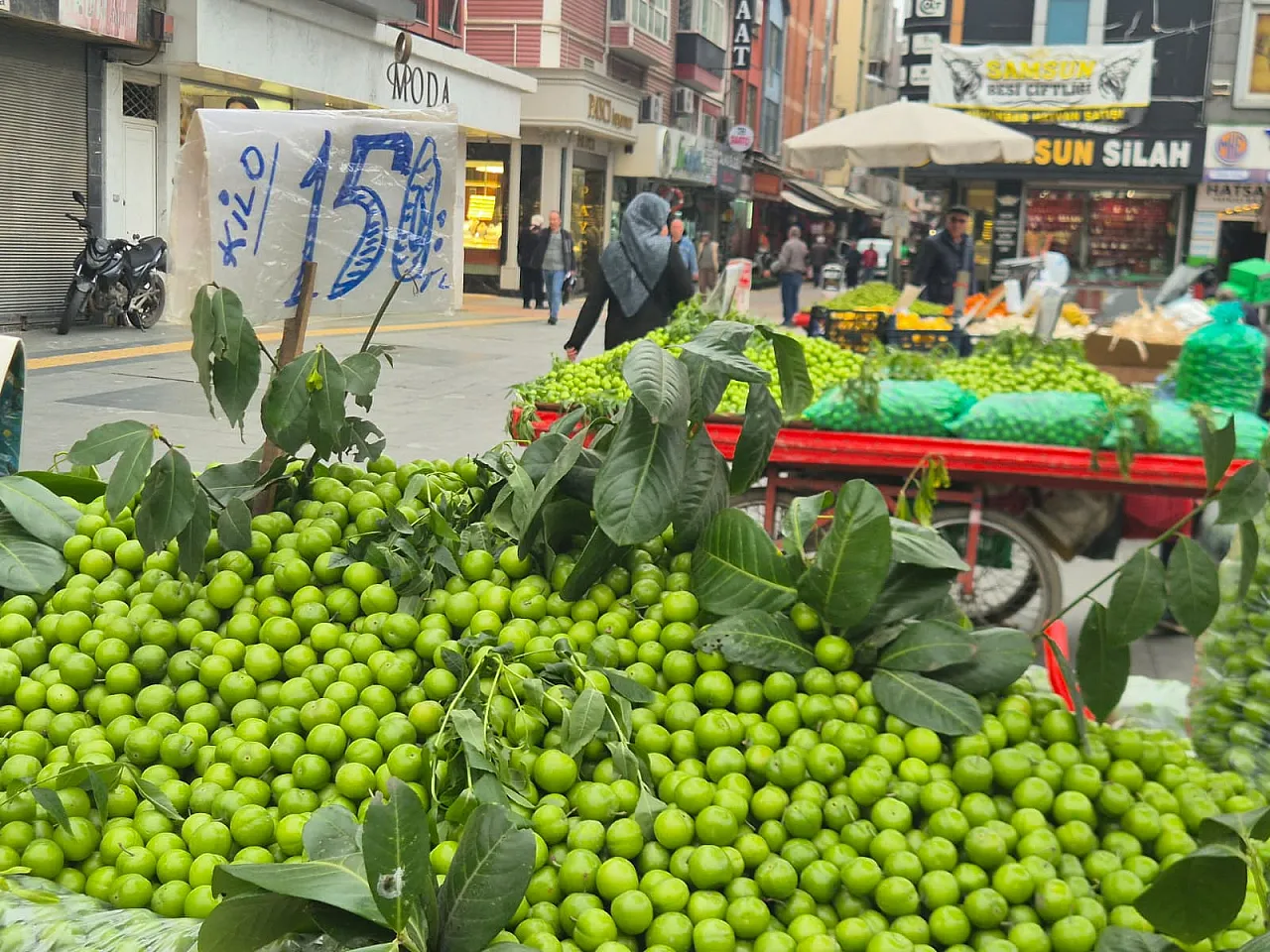 Samsun'da tezgahlarda erik bolluğu