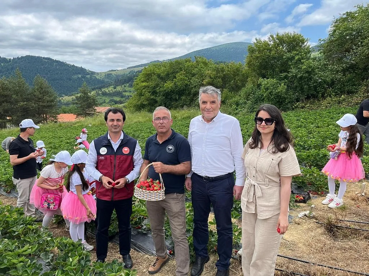 Alaçam'ın yayla çileği sofraları süslüyor