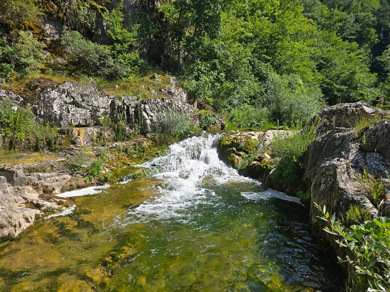 kürtün çayı'nda akıntıya karşı 8 kilometrelik doğa mesaisi