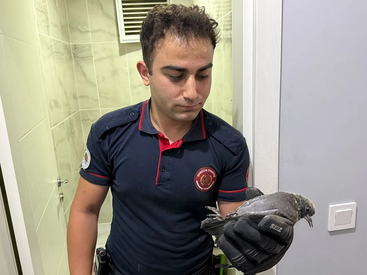 Alaçam'da apartman boşluğuna düşen yavru güvercin kurtarıldı