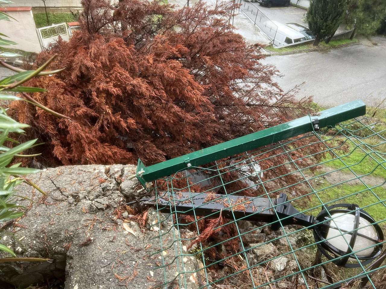 Bursa'da sağanak ağacı devirdi, otomobilin üzerine düştü