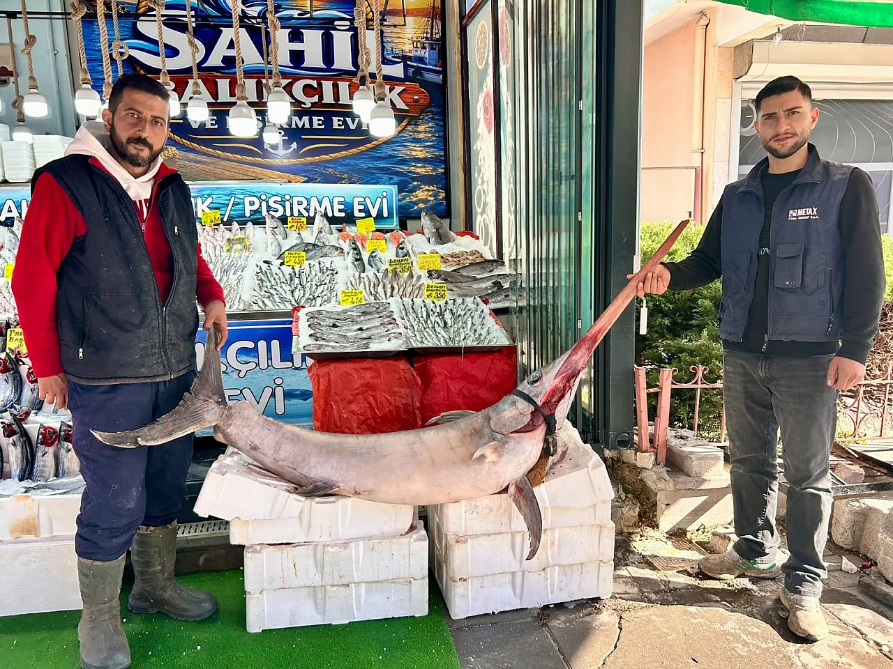 Ankara'da dev kılıç balığı görenleri şaşırttı