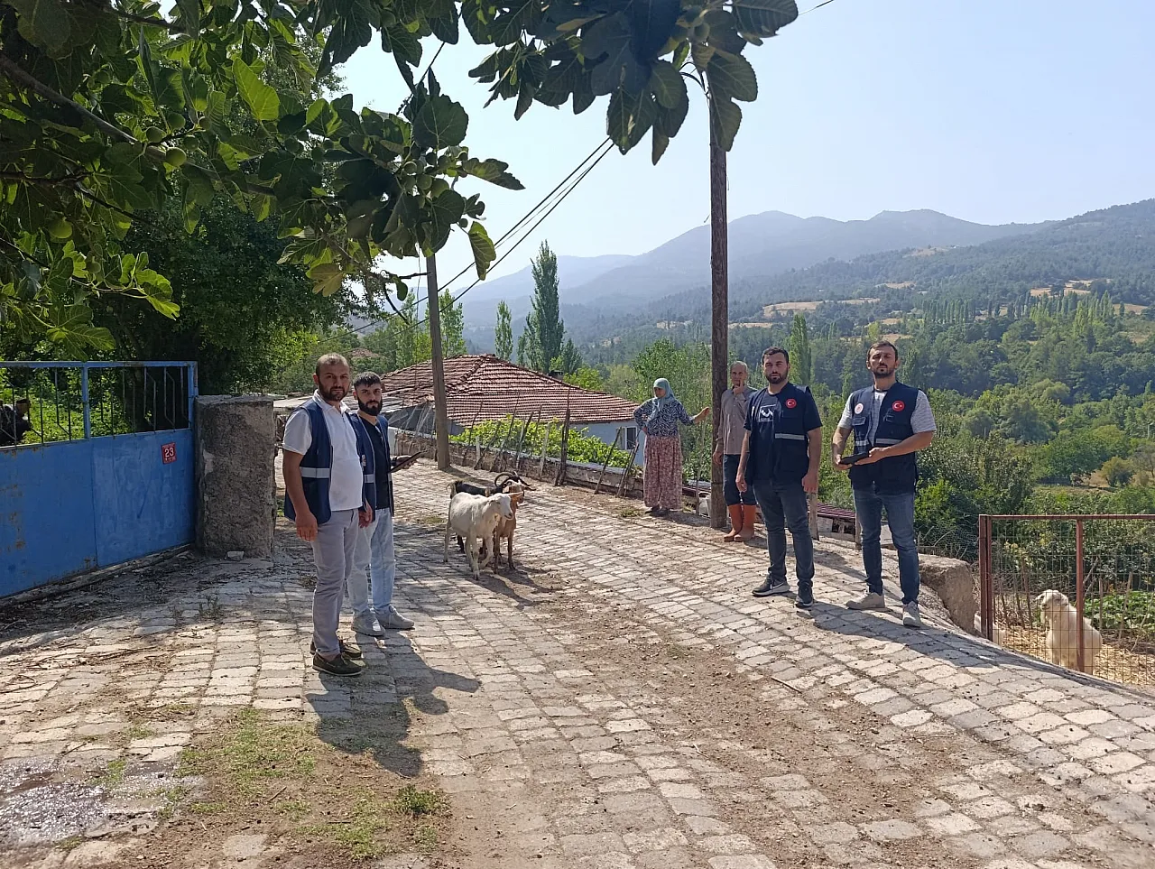 İlkadım'dan Sındırgı'ya Destek Eli 'Yaraları birlikte sarıyoruz'