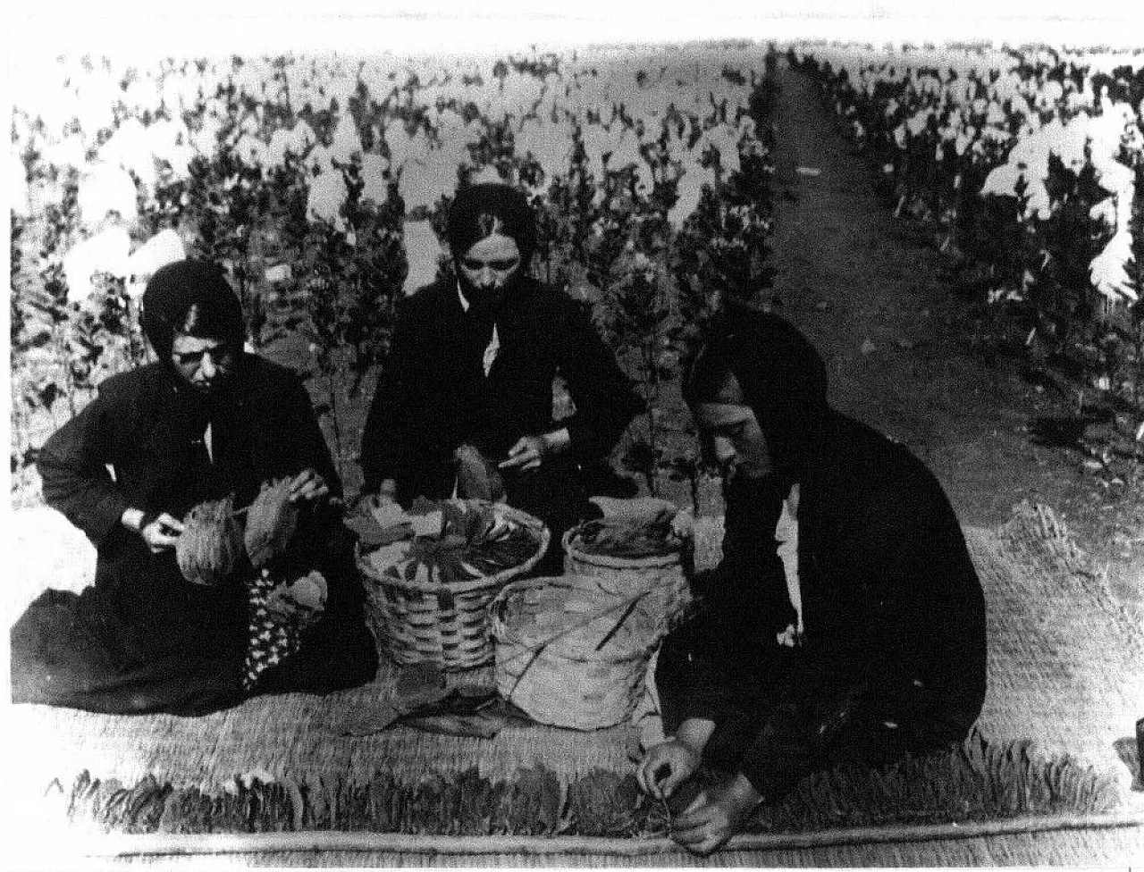 Samsun'da bir tütün dramı: Zarif parmaklı kızlar