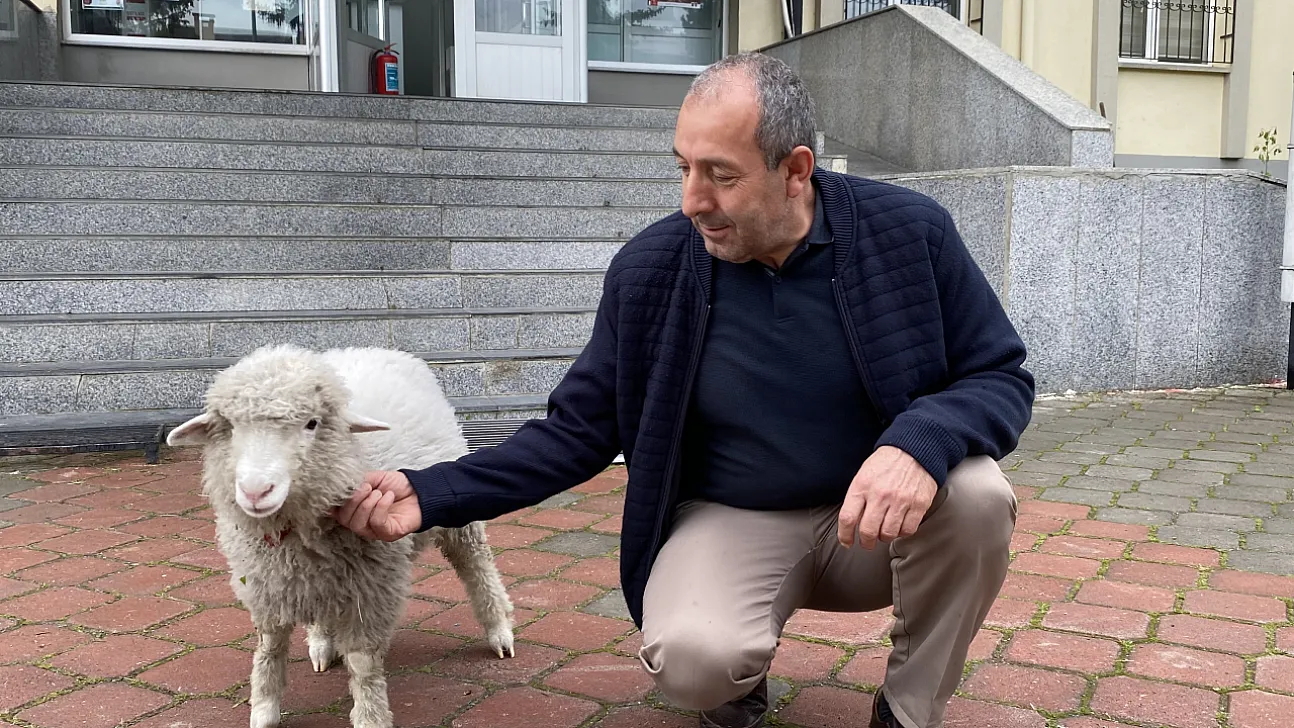 Annesinin Terk Ettiği Kuzu, Adliyenin Maskotu Oldu