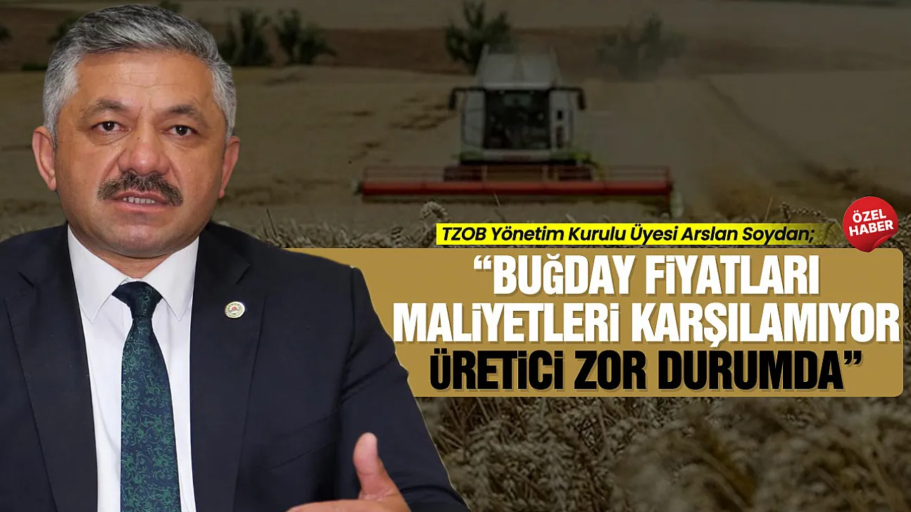 Arslan Soydan'dan Buğday fiyatlarına tepki '20 Lira Olmalı'