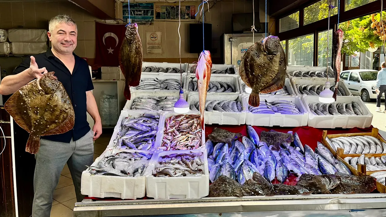 Sinop'ta balıkçı tezgahları bol avlanan kalkanla süslendi