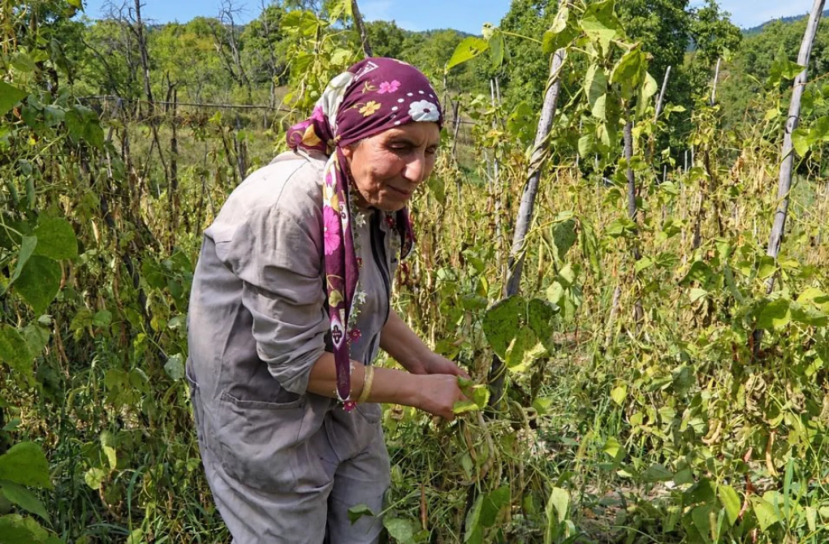 Artvin'de görme engelli iki kardeşin yarım asırlık dayanışması: Görmedikleri köyü ezberlediler