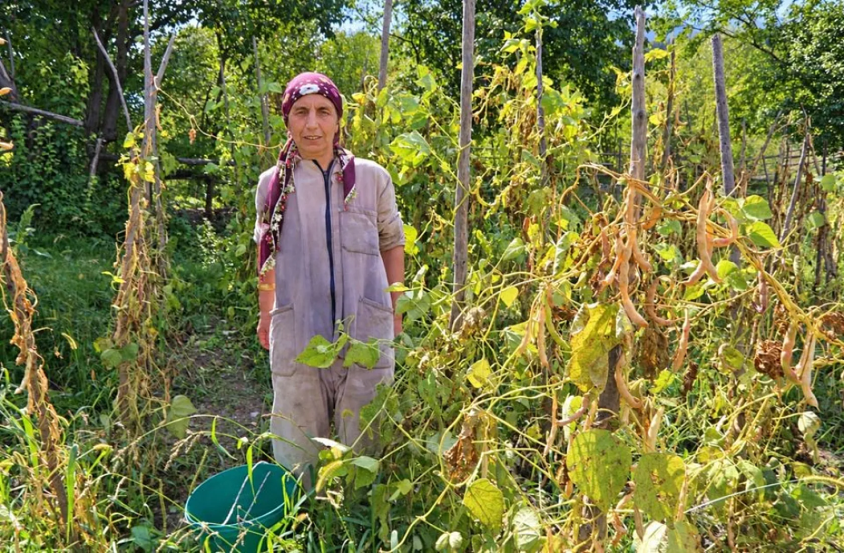 Artvin'de görme engelli iki kardeşin yarım asırlık dayanışması: Görmedikleri köyü ezberlediler
